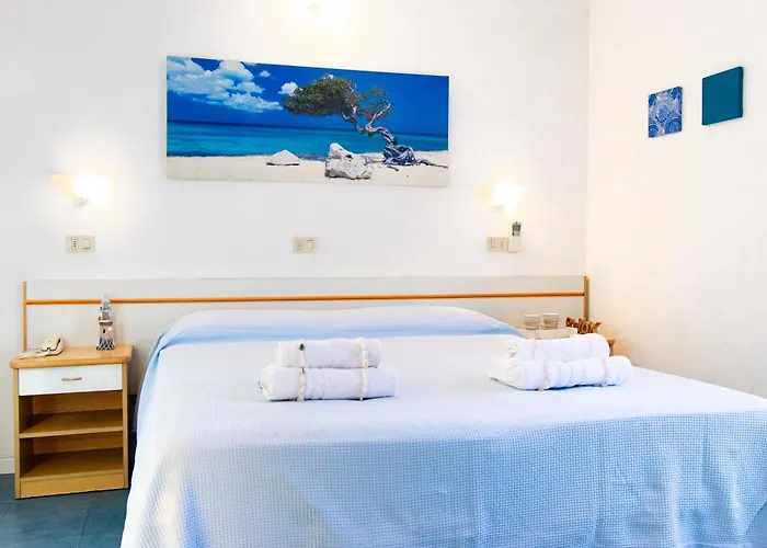 Lucciola 卡托利卡